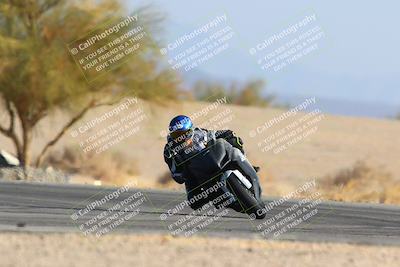 media/Jan-14-2024-SoCal Trackdays (Sun) [[2e55ec21a6]]/Turn 4 Tree of Life (155pm)/